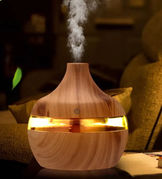 Aromatherapy Electric Humidifier with USB Port