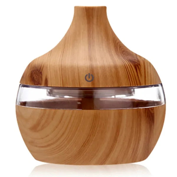 Aromatherapy Electric Humidifier with USB Port