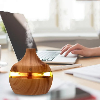 Aromatherapy Electric Humidifier with USB Port