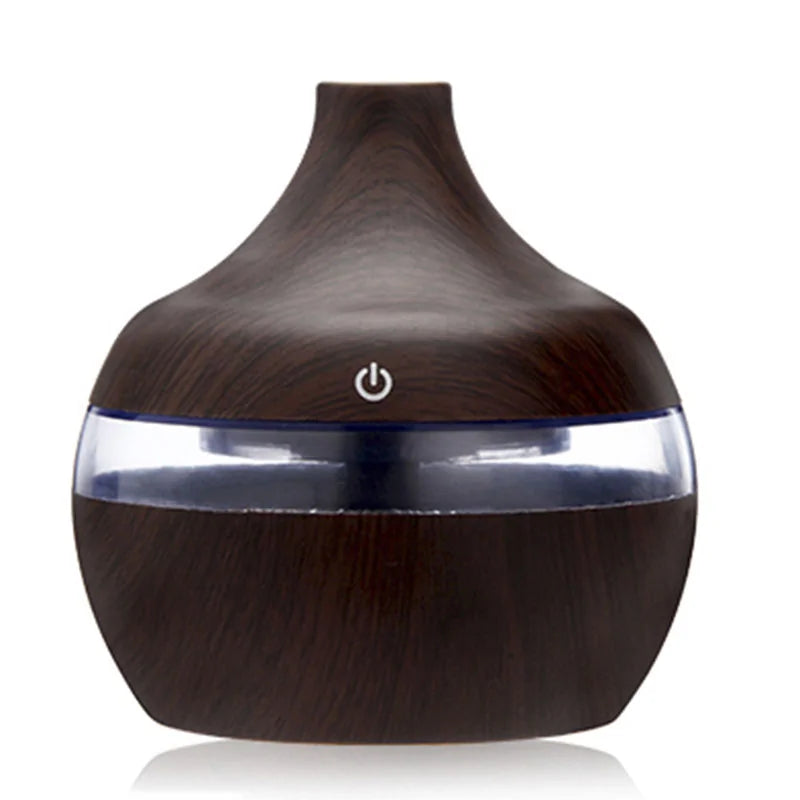 Aromatherapy Electric Humidifier with USB Port