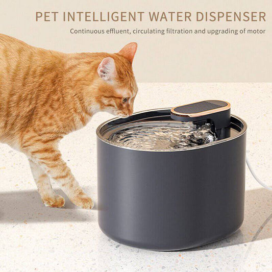 Quiet USB Rechargeable Pet Water Dispenser for Cats and Dogs - Detachable Electric Feeder Bowl - Inside The Bars